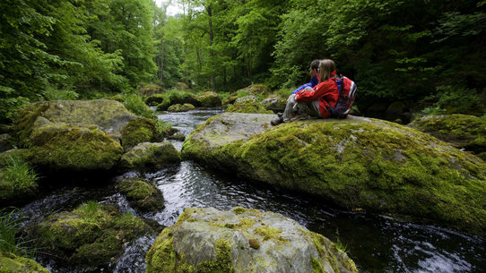 Foto: C. Beer, Tourismusverband Vogtland e.V.